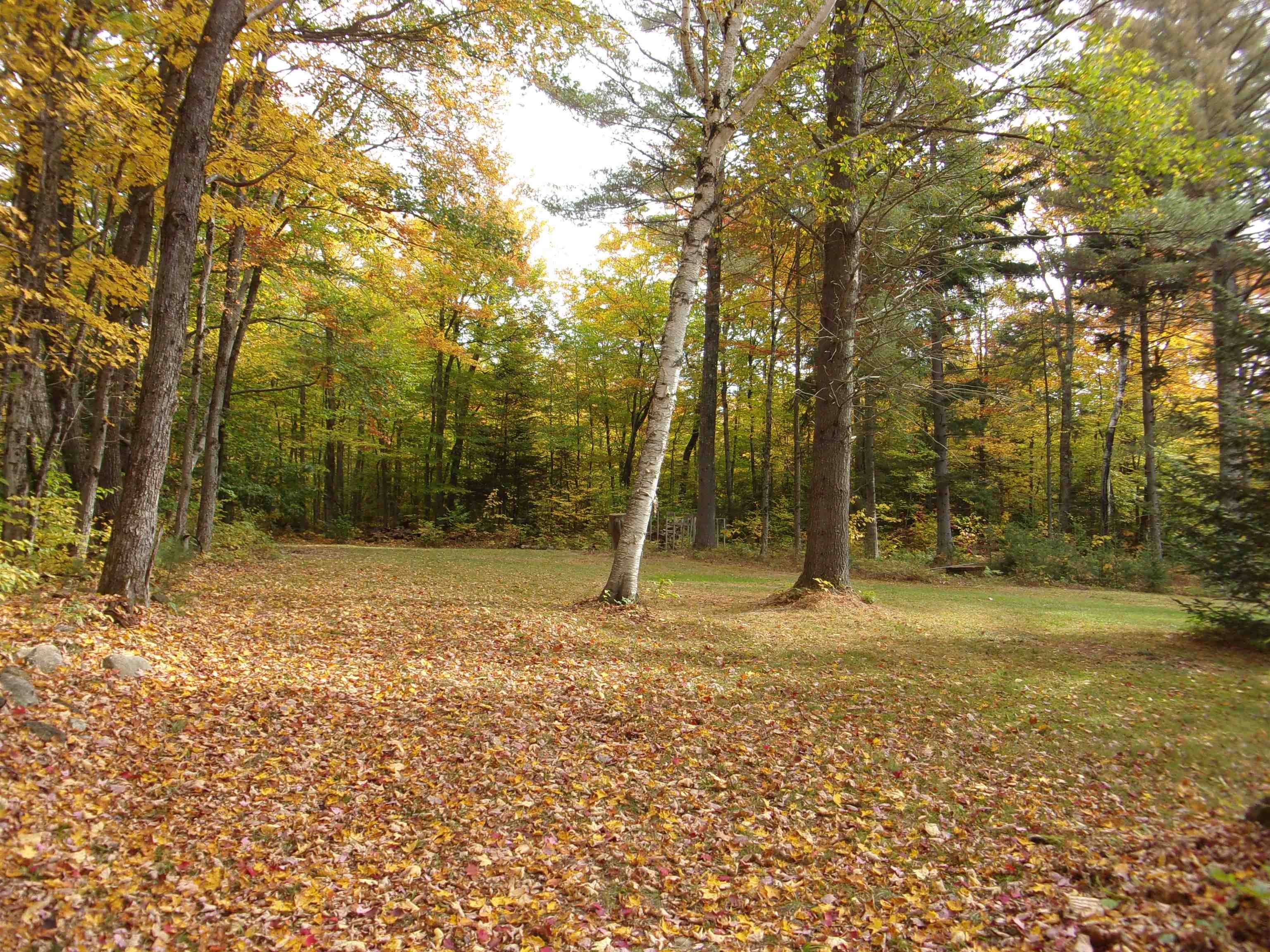 95 Edgar Albert Road Rumney, NH 03266 - Photo 6 of 40 Gallery Image 6