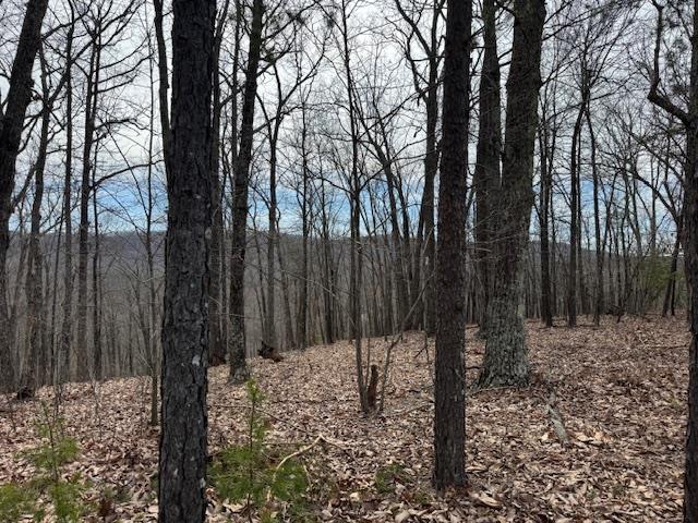 Nighthawk Road, Unit 9 Lynchburg, VA 24504 - Photo 1 of 9 Gallery Image 1