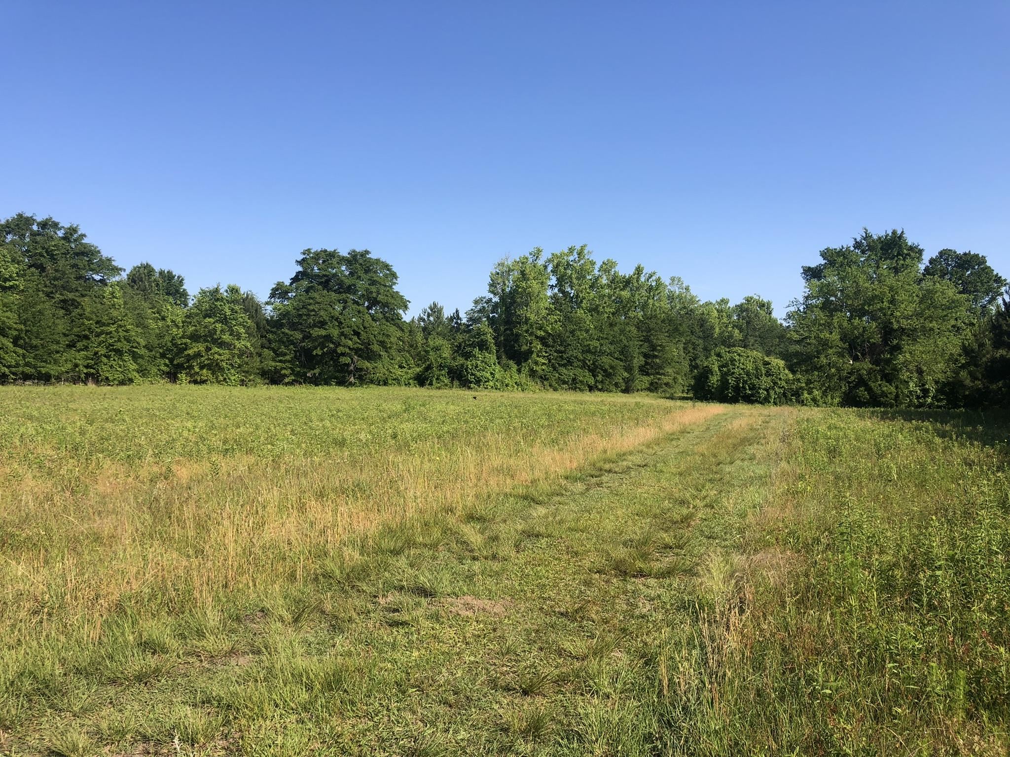 Tbd Vantage Lane Moncks Corner, SC 29461 - Photo 1 of 18