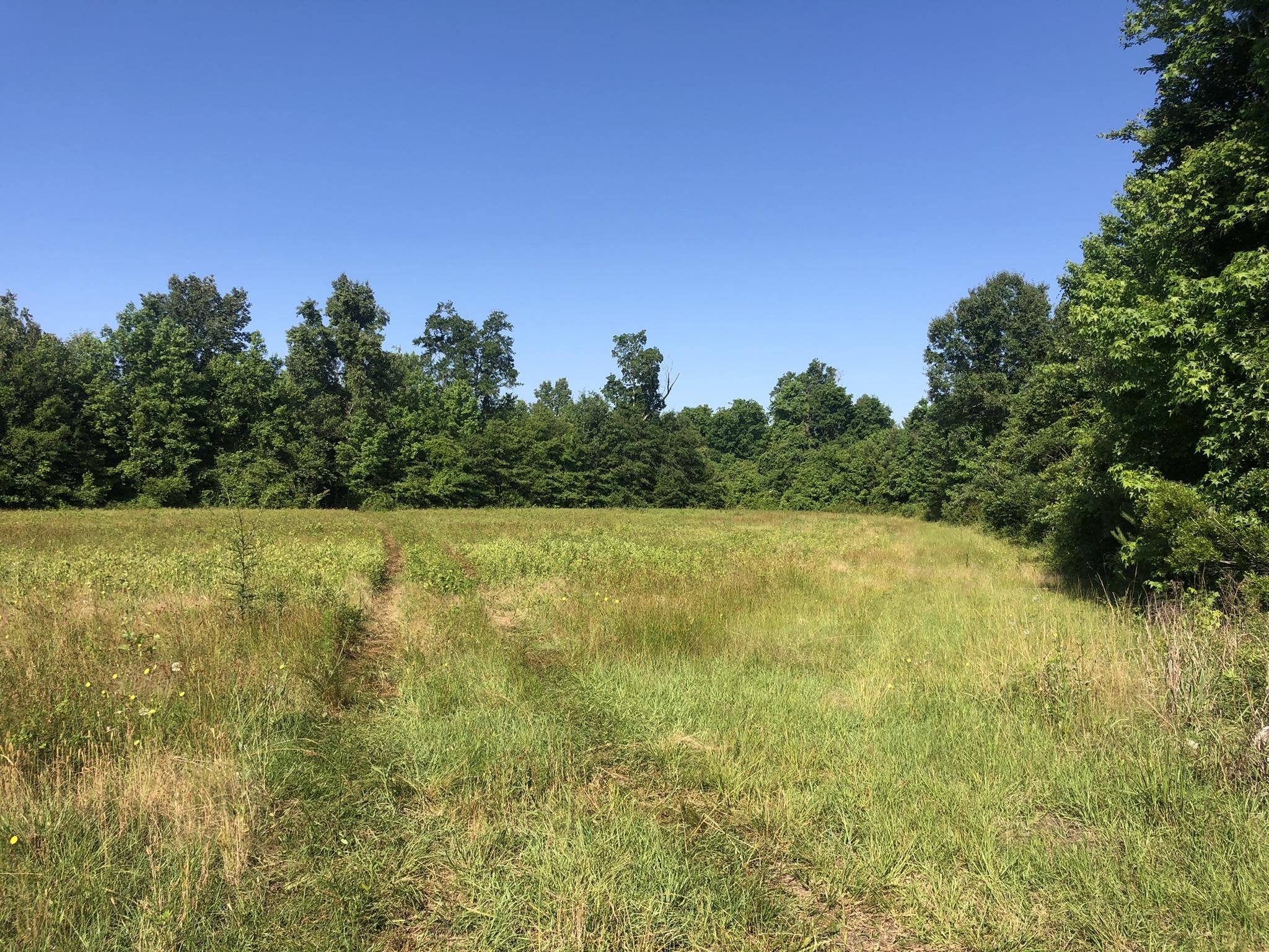 Tbd Vantage Lane Moncks Corner, SC 29461 - Photo 12 of 18