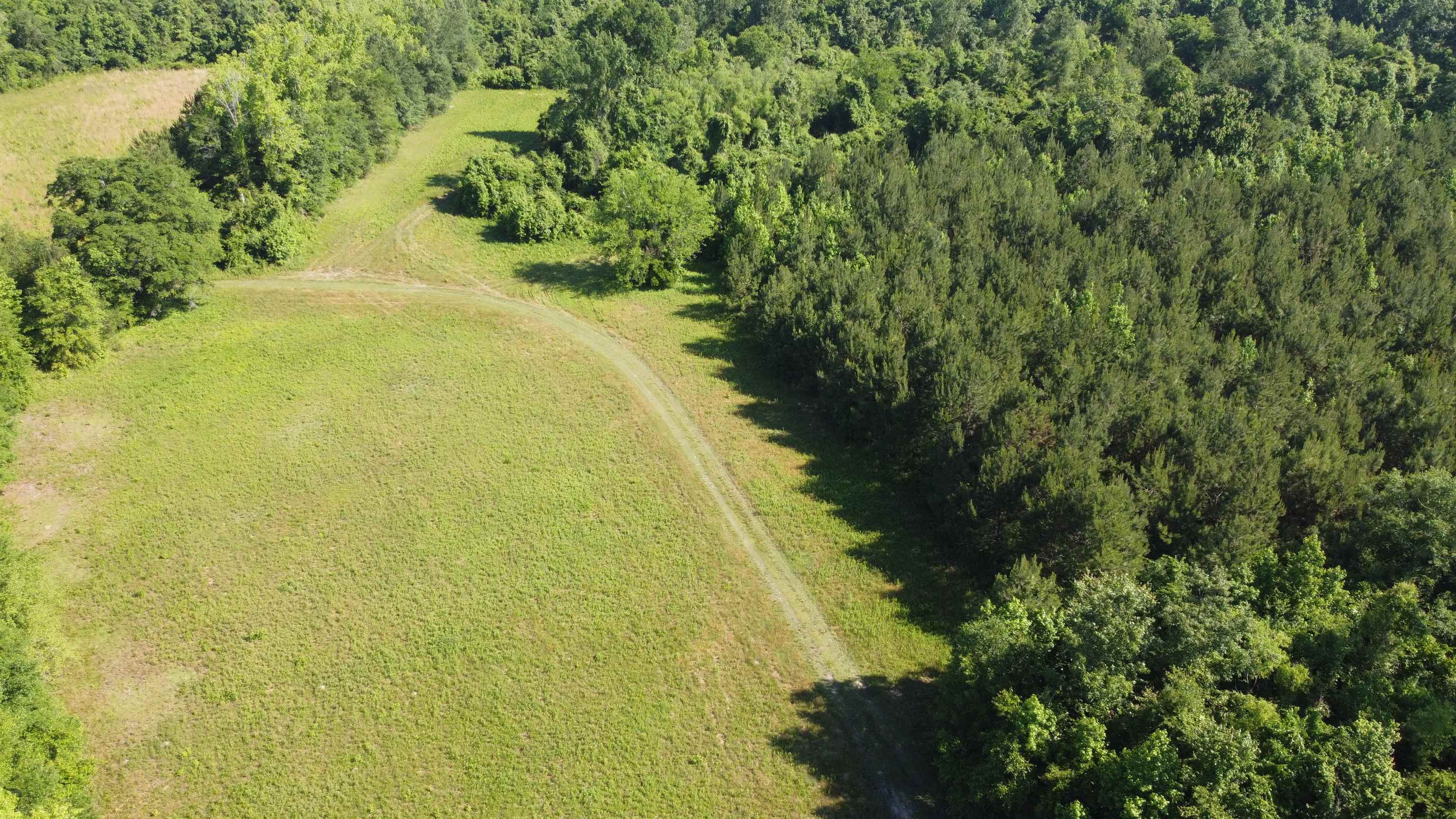 Tbd Vantage Lane Moncks Corner, SC 29461 - Photo 7 of 18