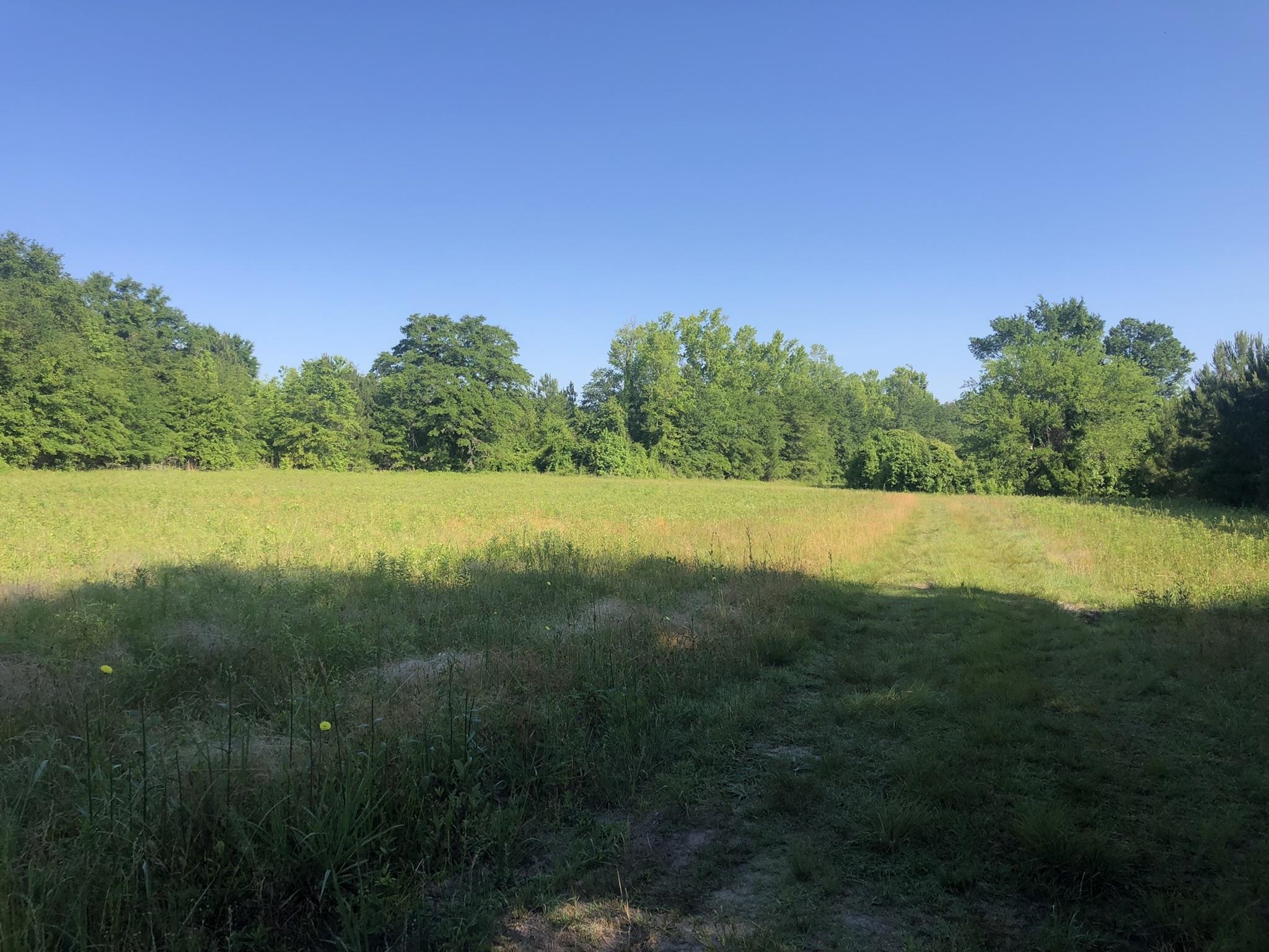 Tbd Vantage Lane Moncks Corner, SC 29461 - Photo 8 of 18