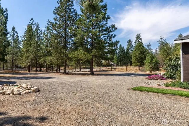 a view of a street with a yard and trees