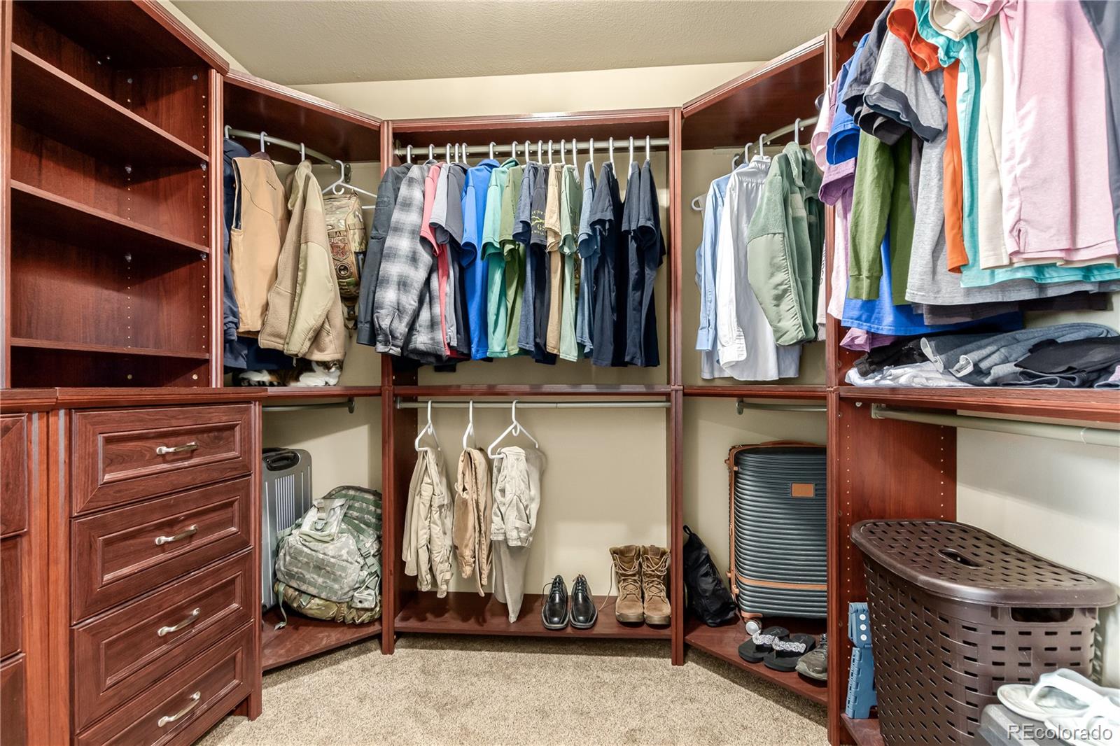 24389 East Brandt Avenue Aurora, CO 80016 - Photo 23 of 49 a view of walk in closet with clothes and shoes