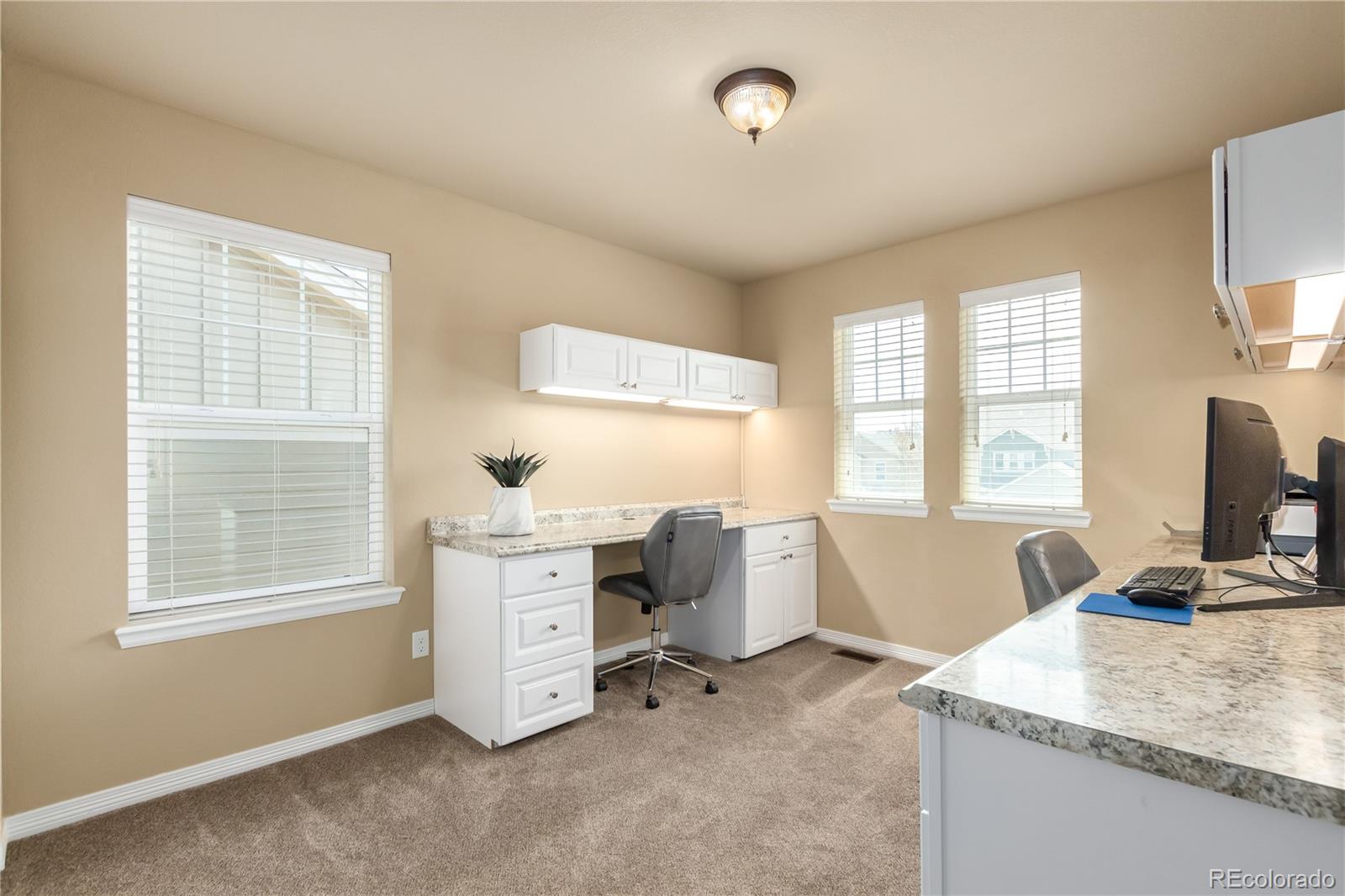24389 East Brandt Avenue Aurora, CO 80016 - Photo 29 of 49 a view of workspace with a window