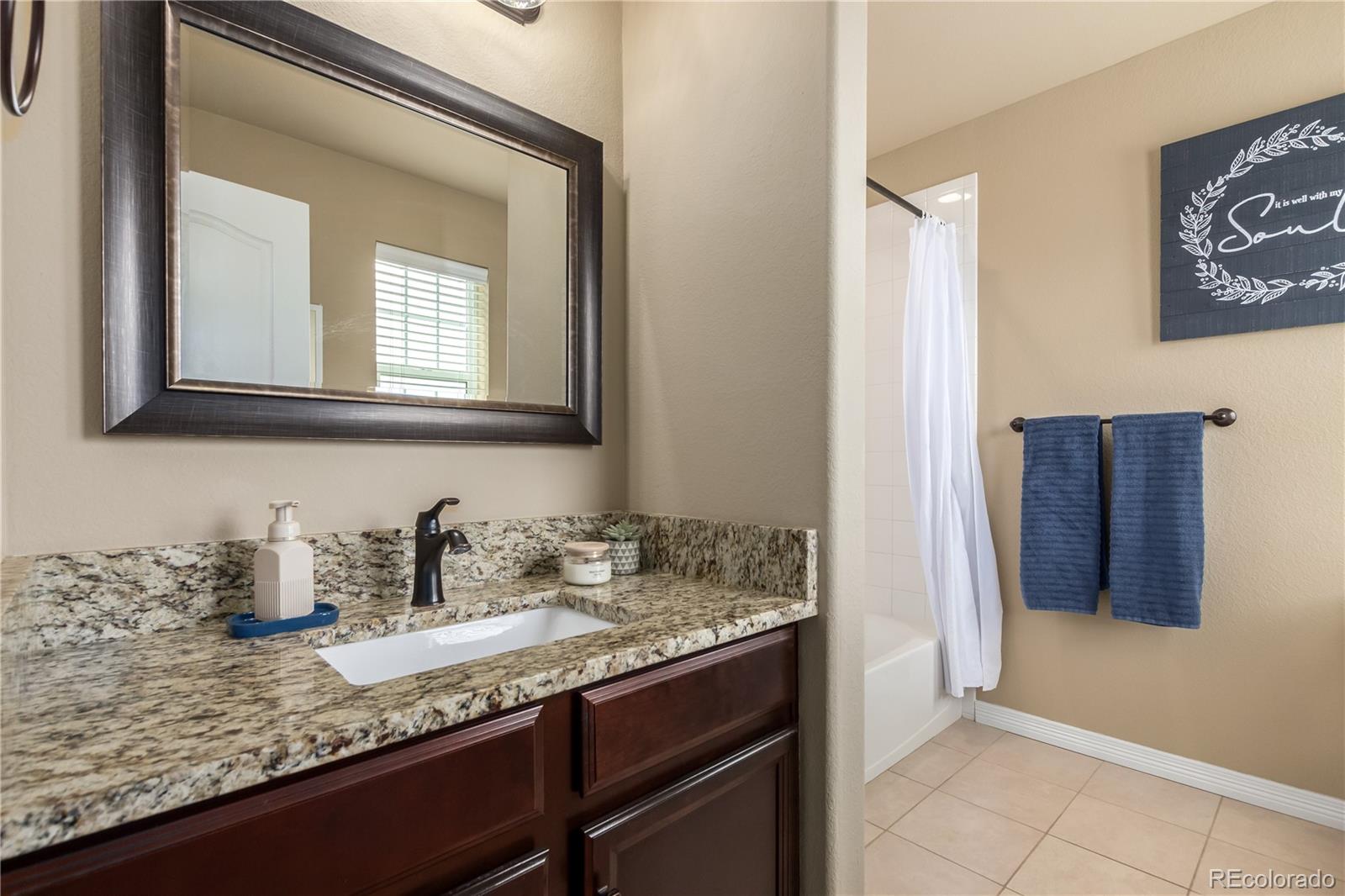 24389 East Brandt Avenue Aurora, CO 80016 - Photo 35 of 49 a bathroom with a sink and a mirror