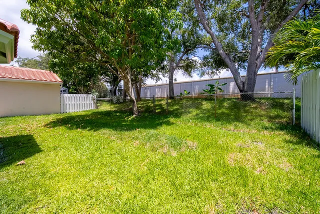 a backyard of a house with plants and large tree