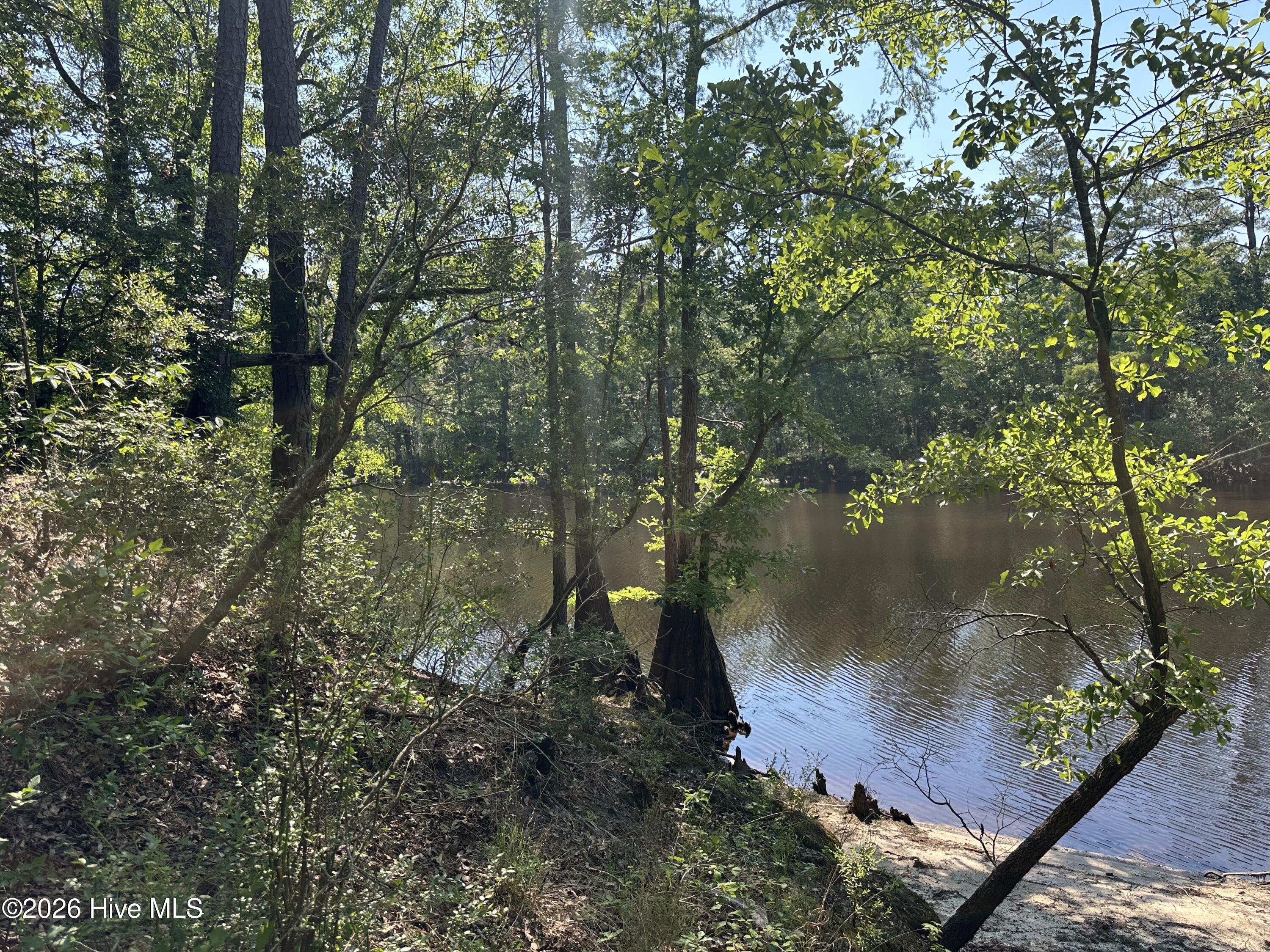 3 Big Eagle Road Atkinson, NC 28421 - Photo 10 of 14