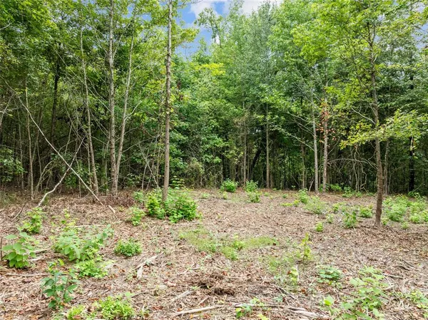 $110,500 | 0 Mistletoe Road, Gilmer, TX 75644