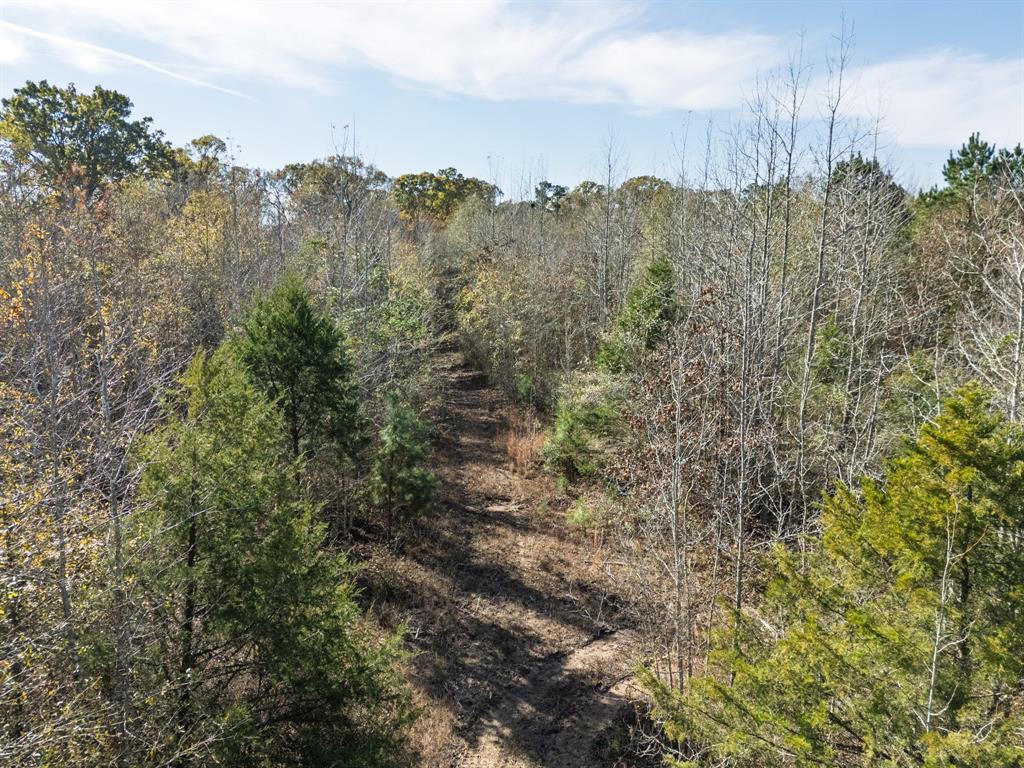 0 Mistletoe Road Gilmer, TX 75644 - Photo 11 of 34