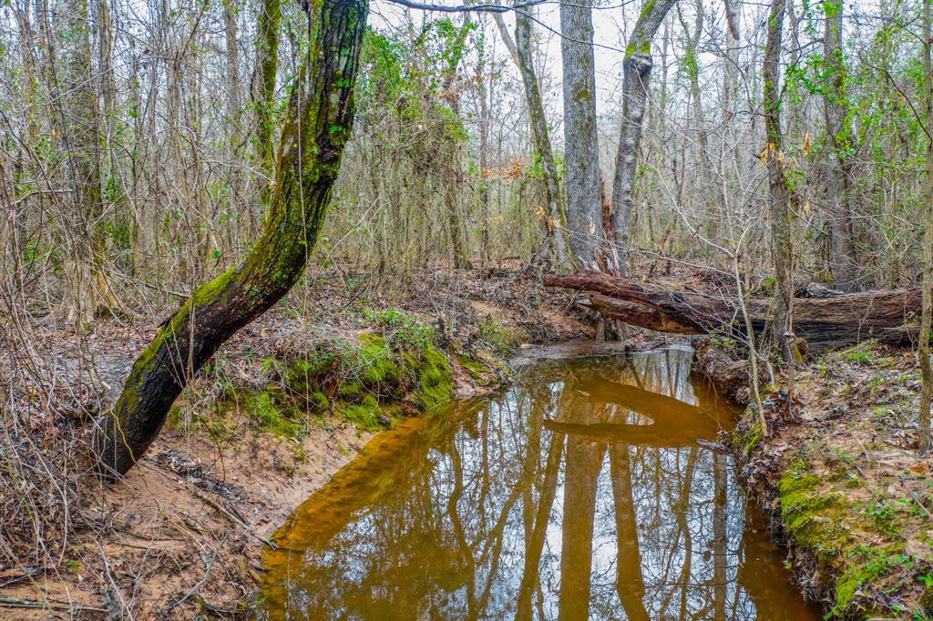 0 Mistletoe Road Gilmer, TX 75644 - Photo 13 of 34