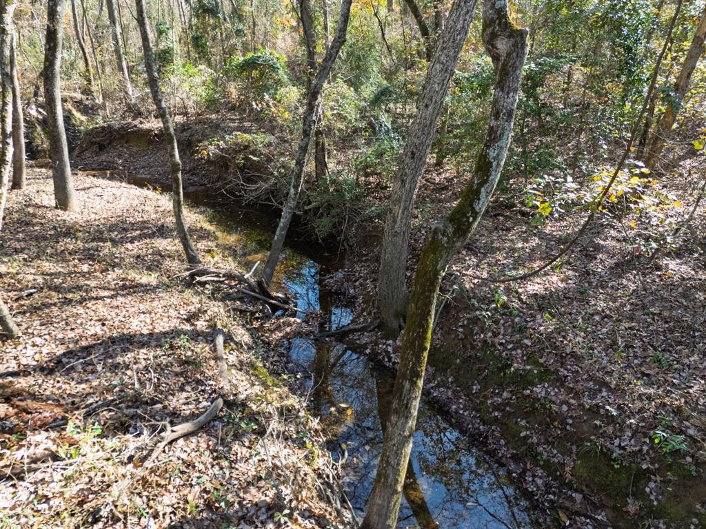 0 Mistletoe Road Gilmer, TX 75644 - Photo 14 of 34