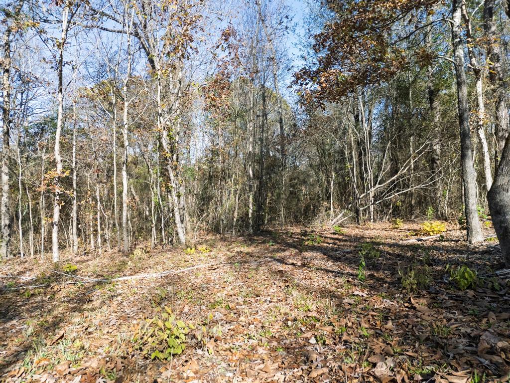 0 Mistletoe Road Gilmer, TX 75644 - Photo 15 of 34