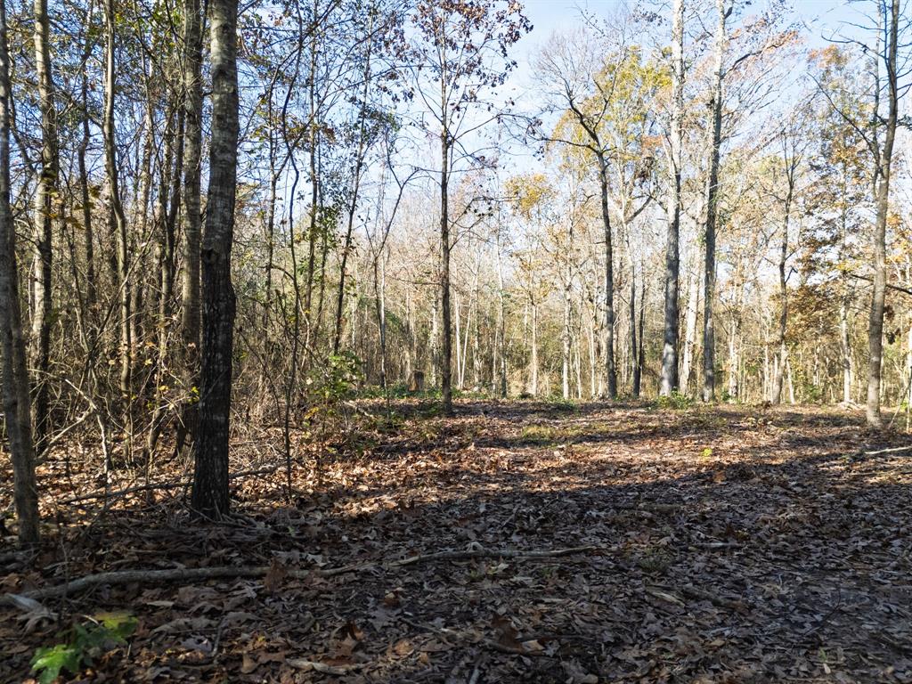 0 Mistletoe Road Gilmer, TX 75644 - Photo 16 of 34