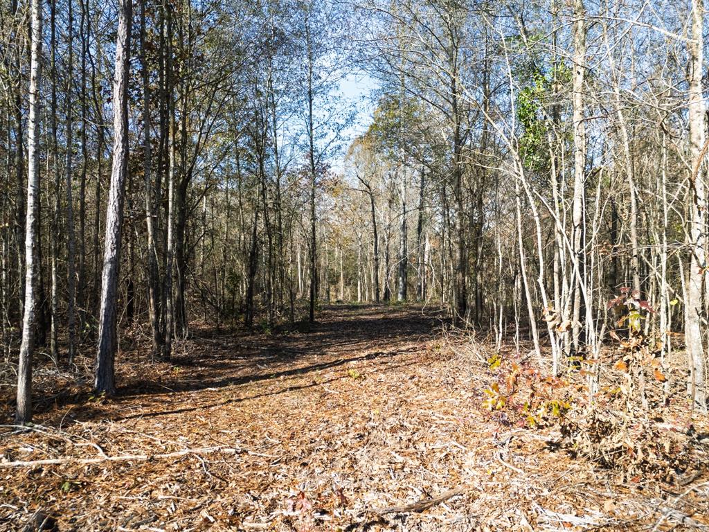 0 Mistletoe Road Gilmer, TX 75644 - Photo 17 of 34