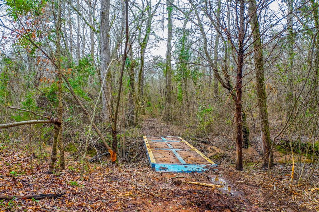 0 Mistletoe Road Gilmer, TX 75644 - Photo 18 of 34