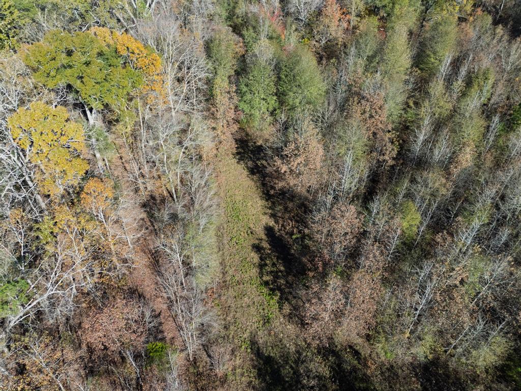 0 Mistletoe Road Gilmer, TX 75644 - Photo 19 of 34