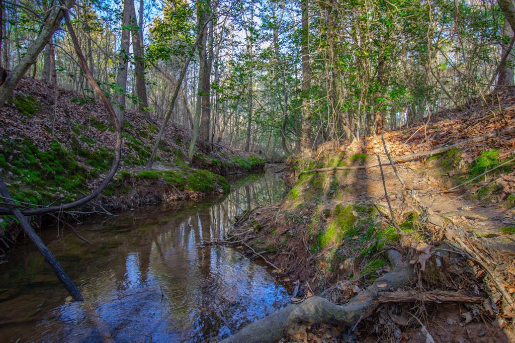 0 Mistletoe Road Gilmer, TX 75644 - Photo 20 of 34