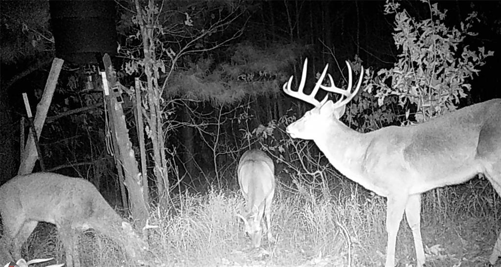 0 Mistletoe Road Gilmer, TX 75644 - Photo 2 of 34