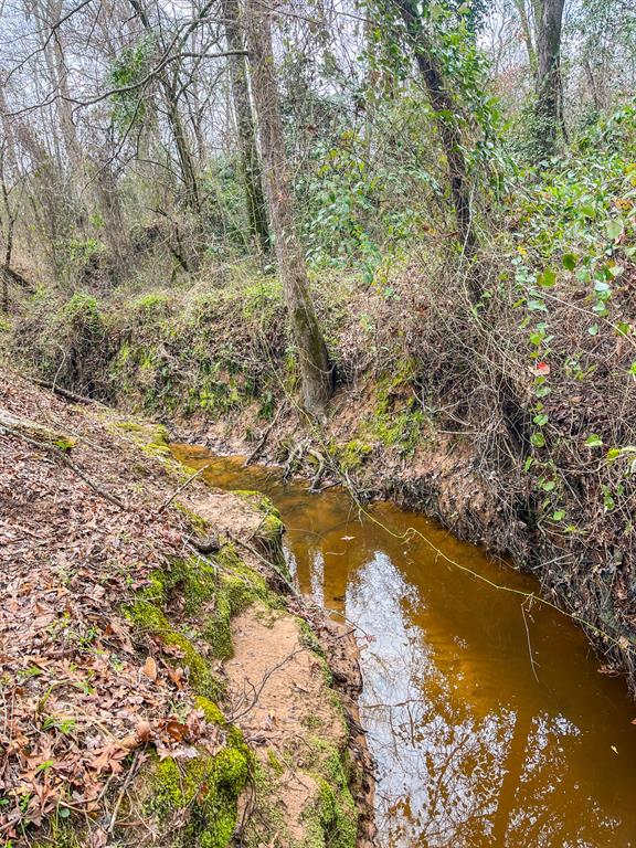 0 Mistletoe Road Gilmer, TX 75644 - Photo 21 of 34