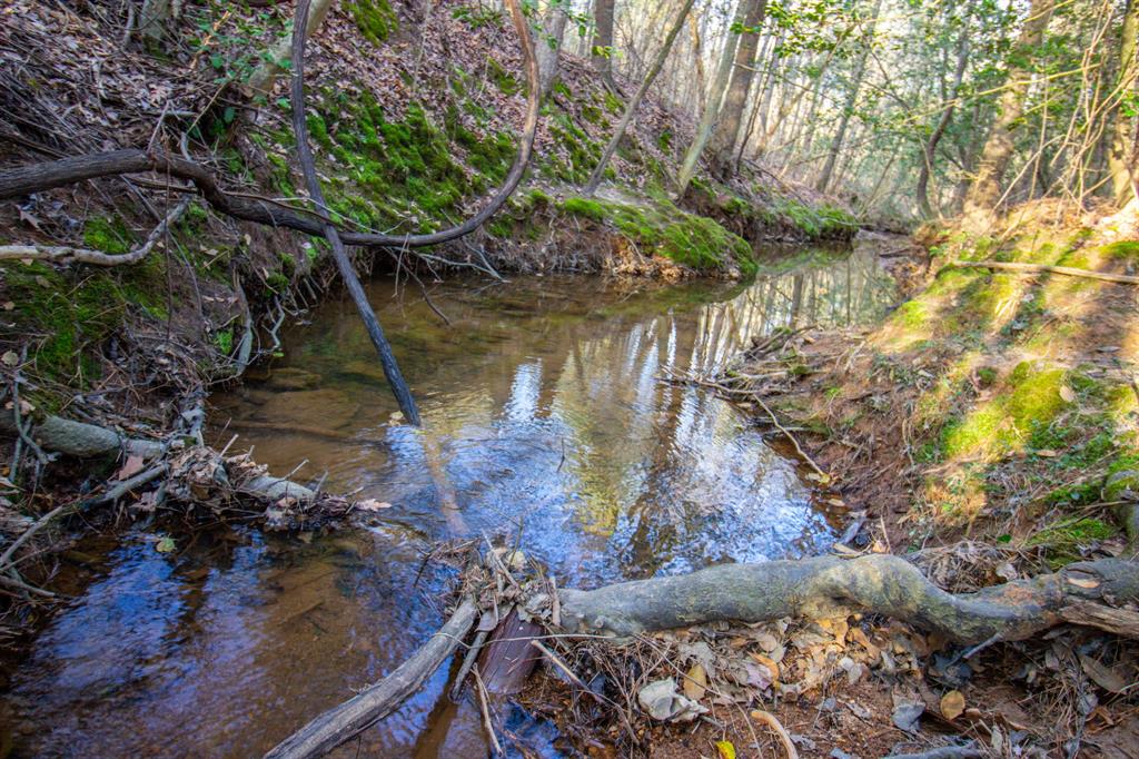 0 Mistletoe Road Gilmer, TX 75644 - Photo 23 of 34