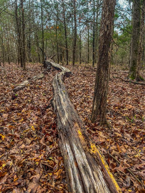 0 Mistletoe Road Gilmer, TX 75644 - Photo 24 of 34