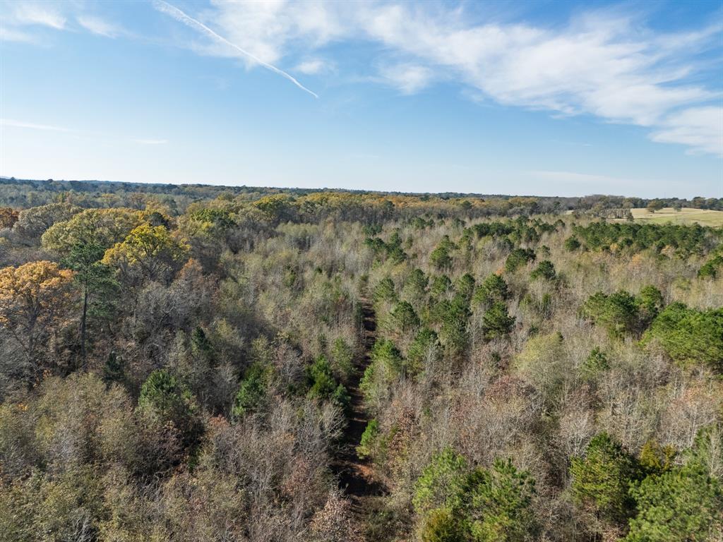 0 Mistletoe Road Gilmer, TX 75644 - Photo 26 of 34