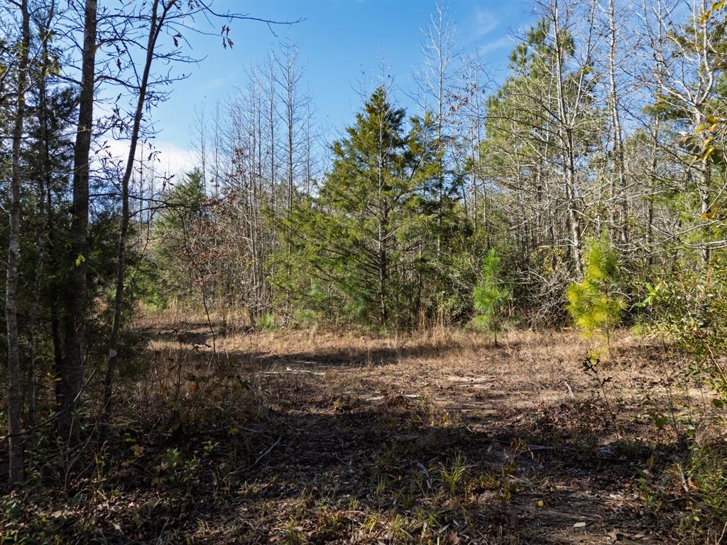 0 Mistletoe Road Gilmer, TX 75644 - Photo 27 of 34