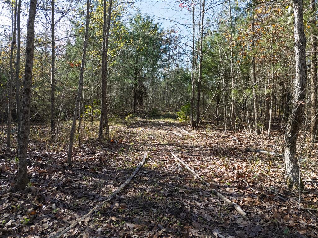 0 Mistletoe Road Gilmer, TX 75644 - Photo 28 of 34