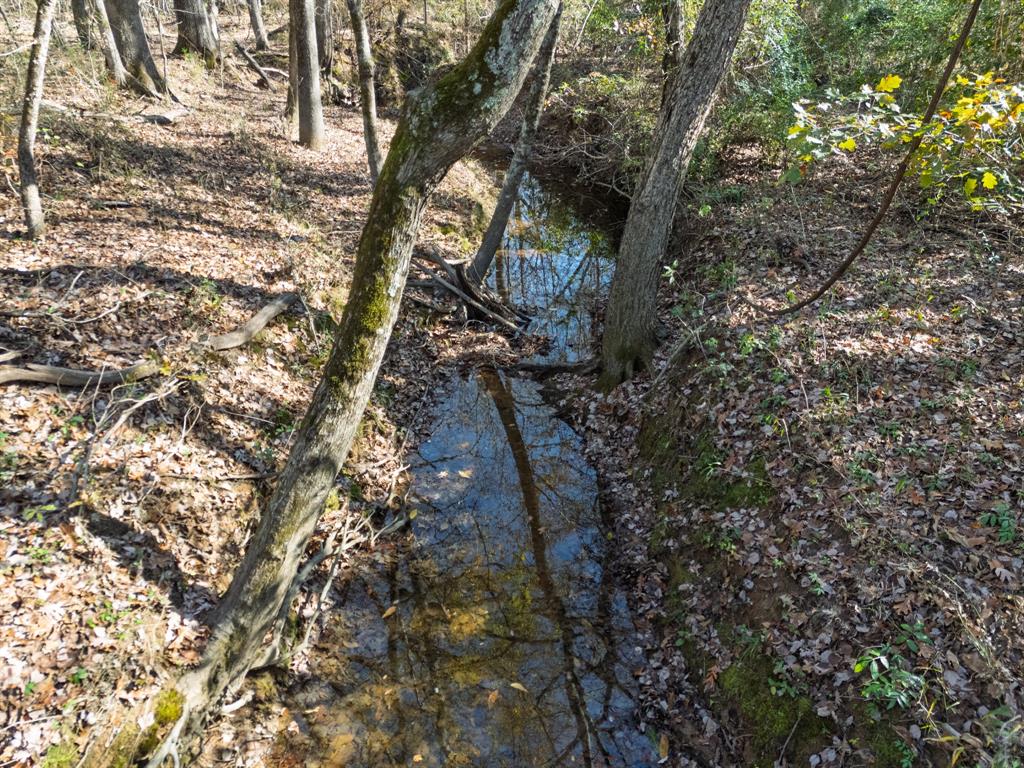 0 Mistletoe Road Gilmer, TX 75644 - Photo 29 of 34