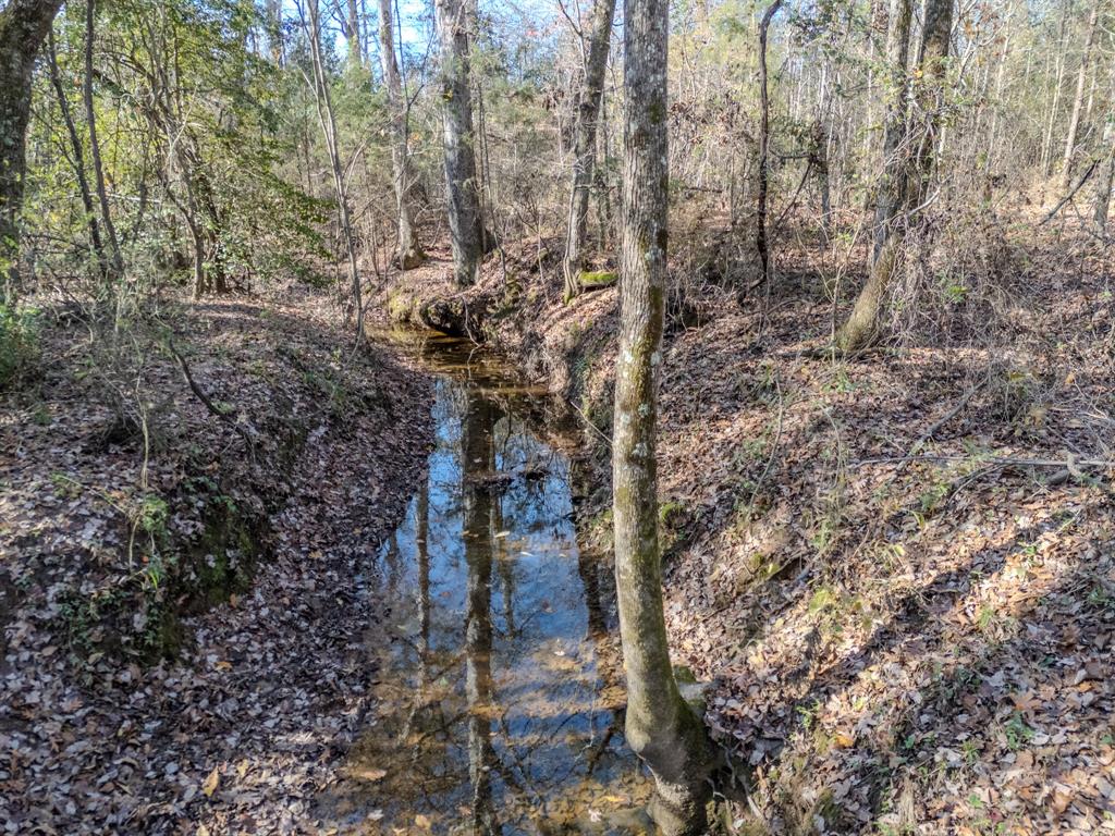 0 Mistletoe Road Gilmer, TX 75644 - Photo 30 of 34