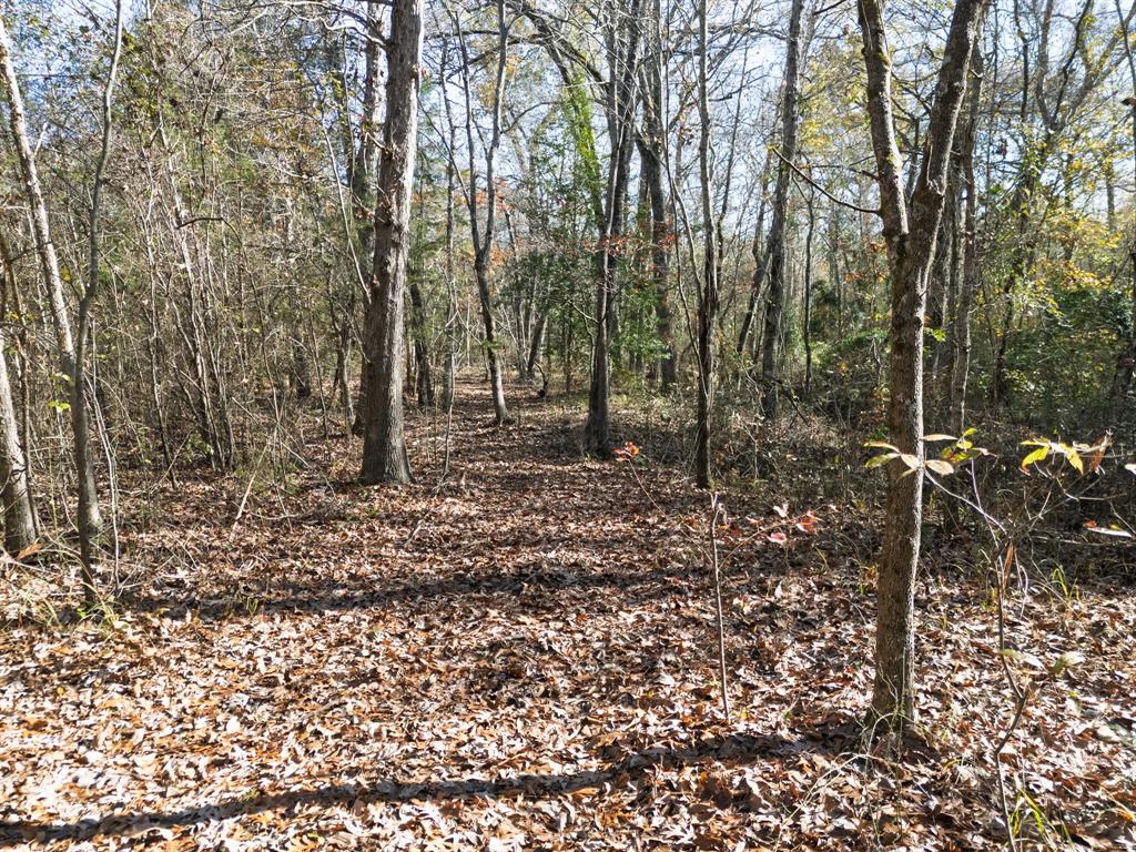 0 Mistletoe Road Gilmer, TX 75644 - Photo 31 of 34