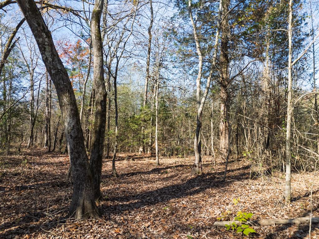 0 Mistletoe Road Gilmer, TX 75644 - Photo 32 of 34