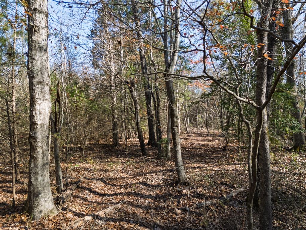 0 Mistletoe Road Gilmer, TX 75644 - Photo 33 of 34