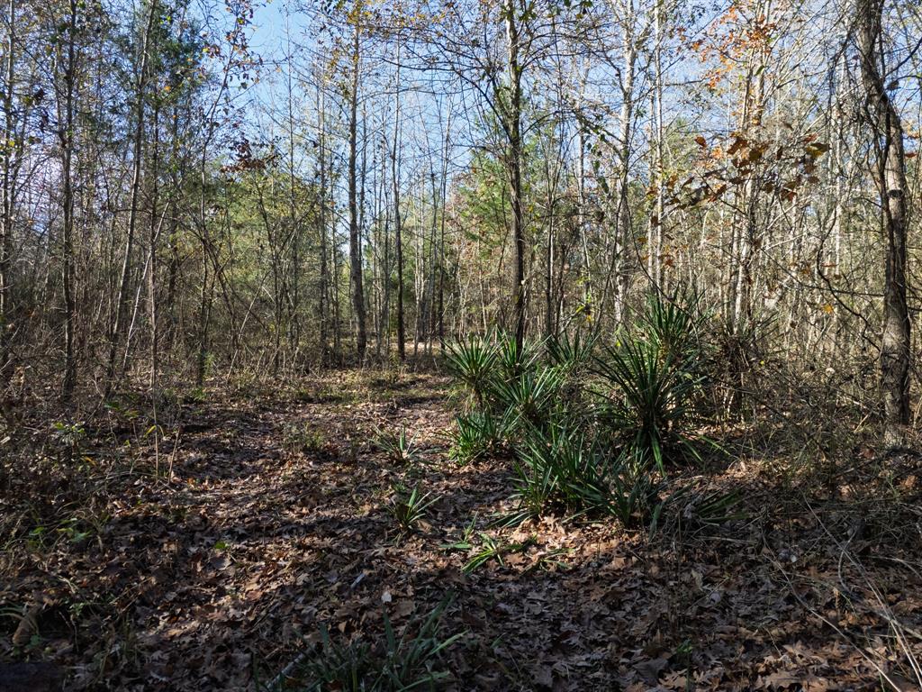 0 Mistletoe Road Gilmer, TX 75644 - Photo 34 of 34