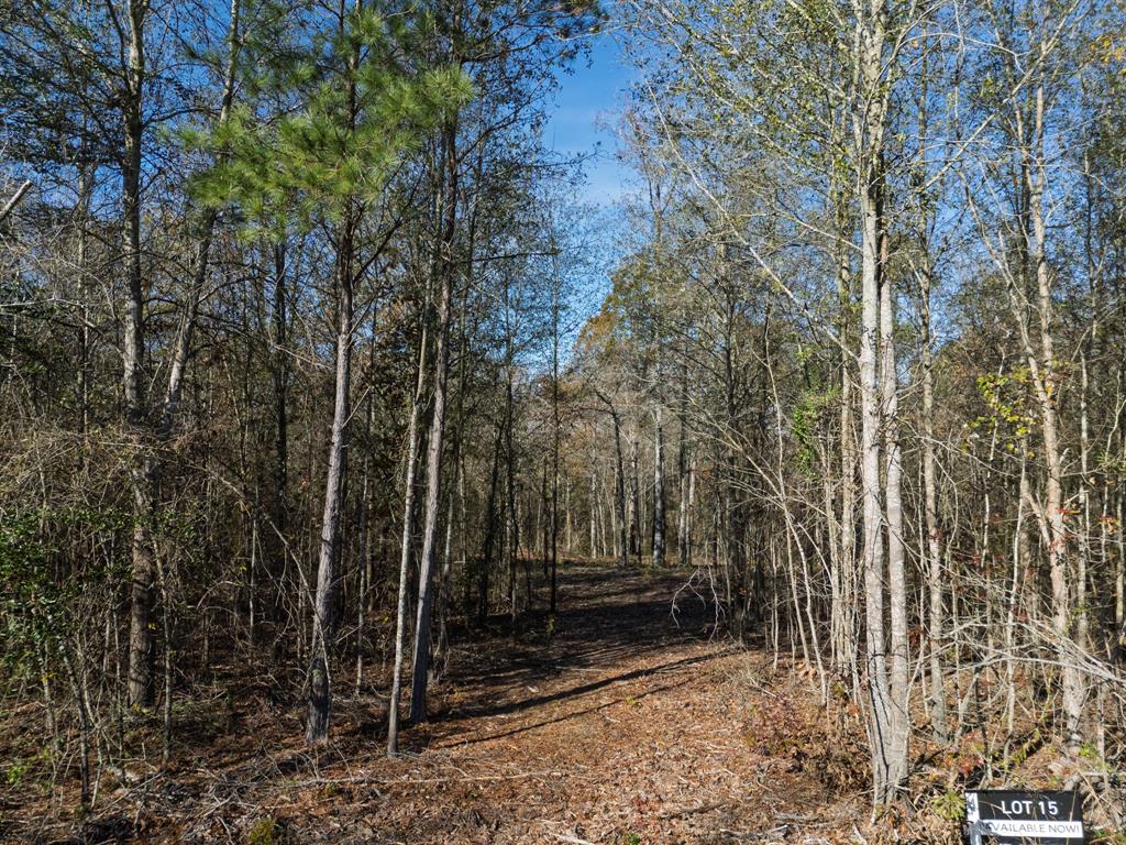 0 Mistletoe Road Gilmer, TX 75644 - Photo 4 of 34