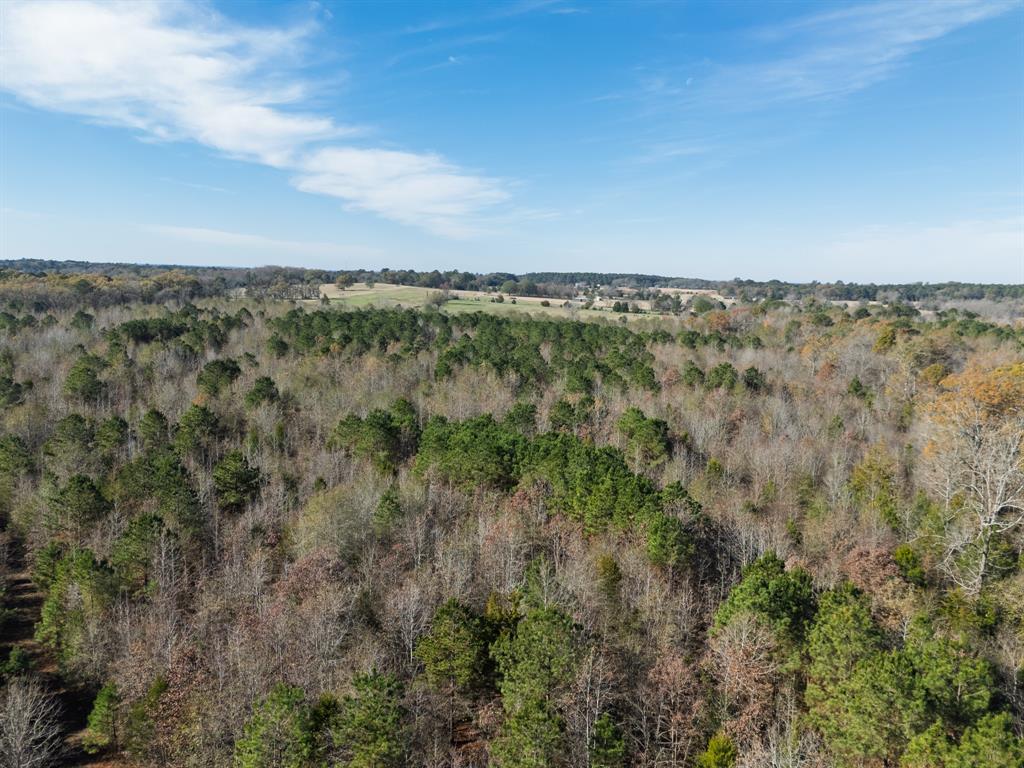 0 Mistletoe Road Gilmer, TX 75644 - Photo 5 of 34