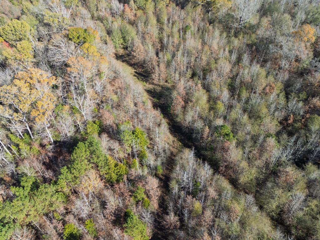 0 Mistletoe Road Gilmer, TX 75644 - Photo 7 of 34