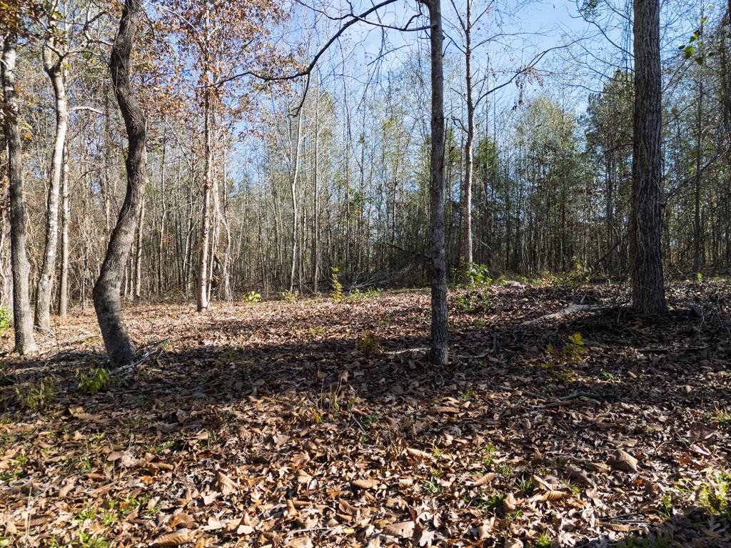 0 Mistletoe Road Gilmer, TX 75644 - Photo 9 of 34