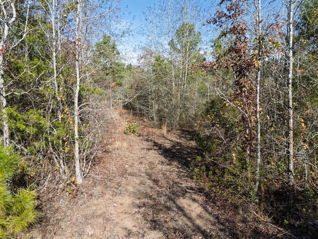 0 Mistletoe Road Gilmer, TX 75644 - Photo 10 of 34