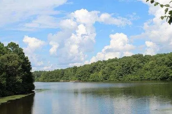 $1,950 | 2184 Skye Isles Pass Southeast, Lawrenceville, GA 30045