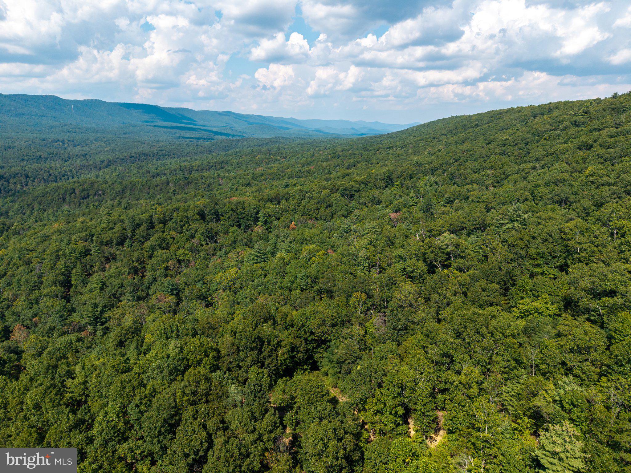 0 Supinlick Ridge Road Mount Jackson, VA 22842 - Photo 29 of 33 Gallery Image 29