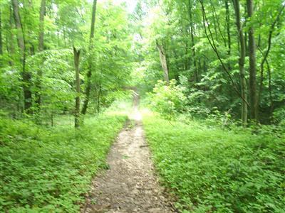Whites Bridge Road, Unit PAR A Lowell, MI 49331 - Photo 2 of 5 Additional Photo