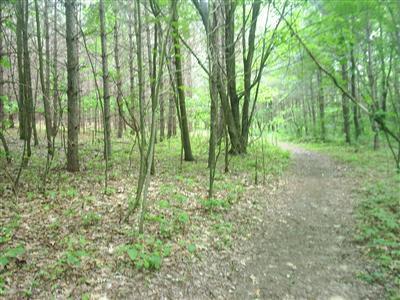 Whites Bridge Road, Unit PAR A Lowell, MI 49331 - Photo 4 of 5 Additional Photo