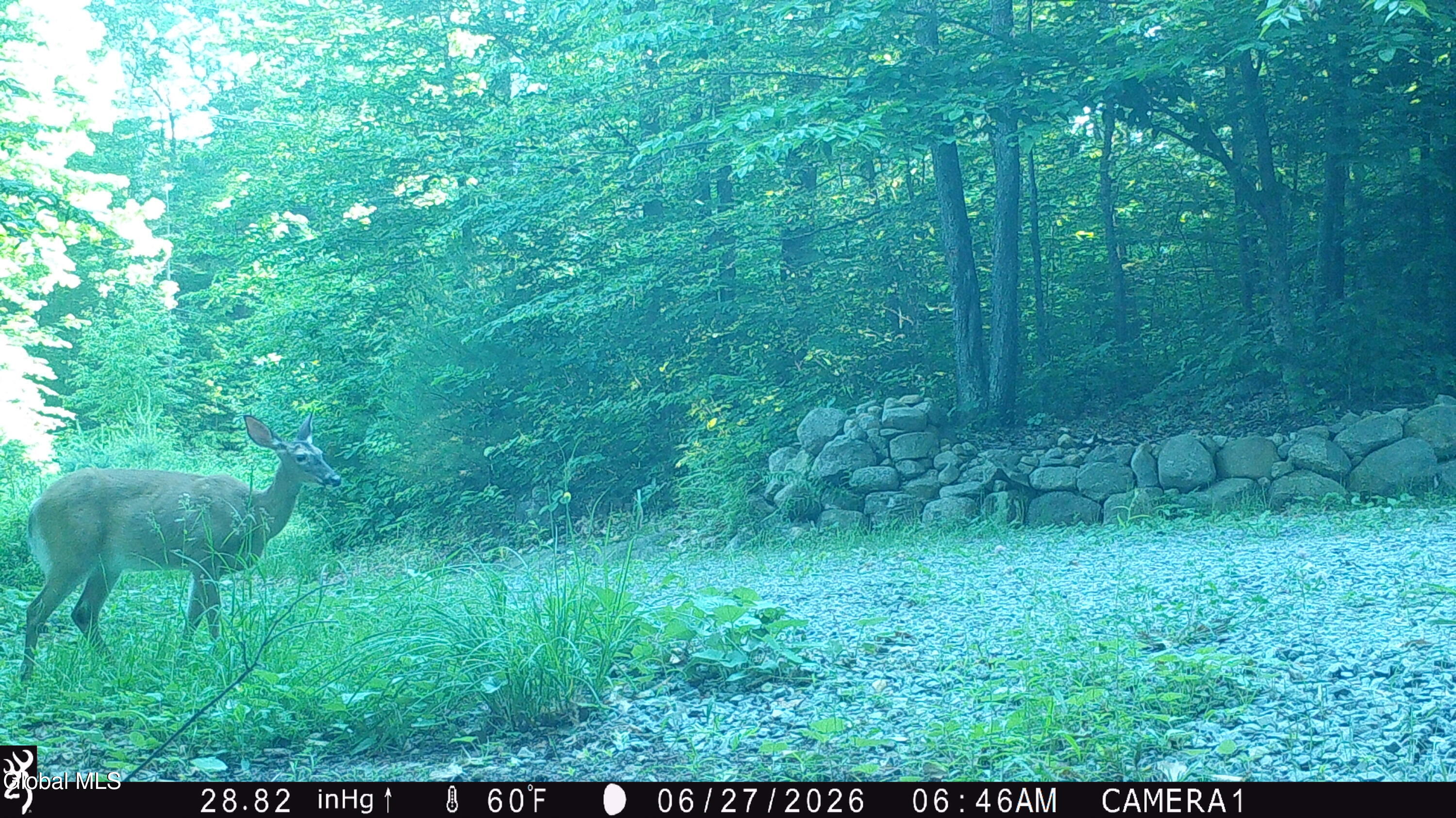 76 Harris Road Horicon, NY 12815 - Photo 16 of 18 image13