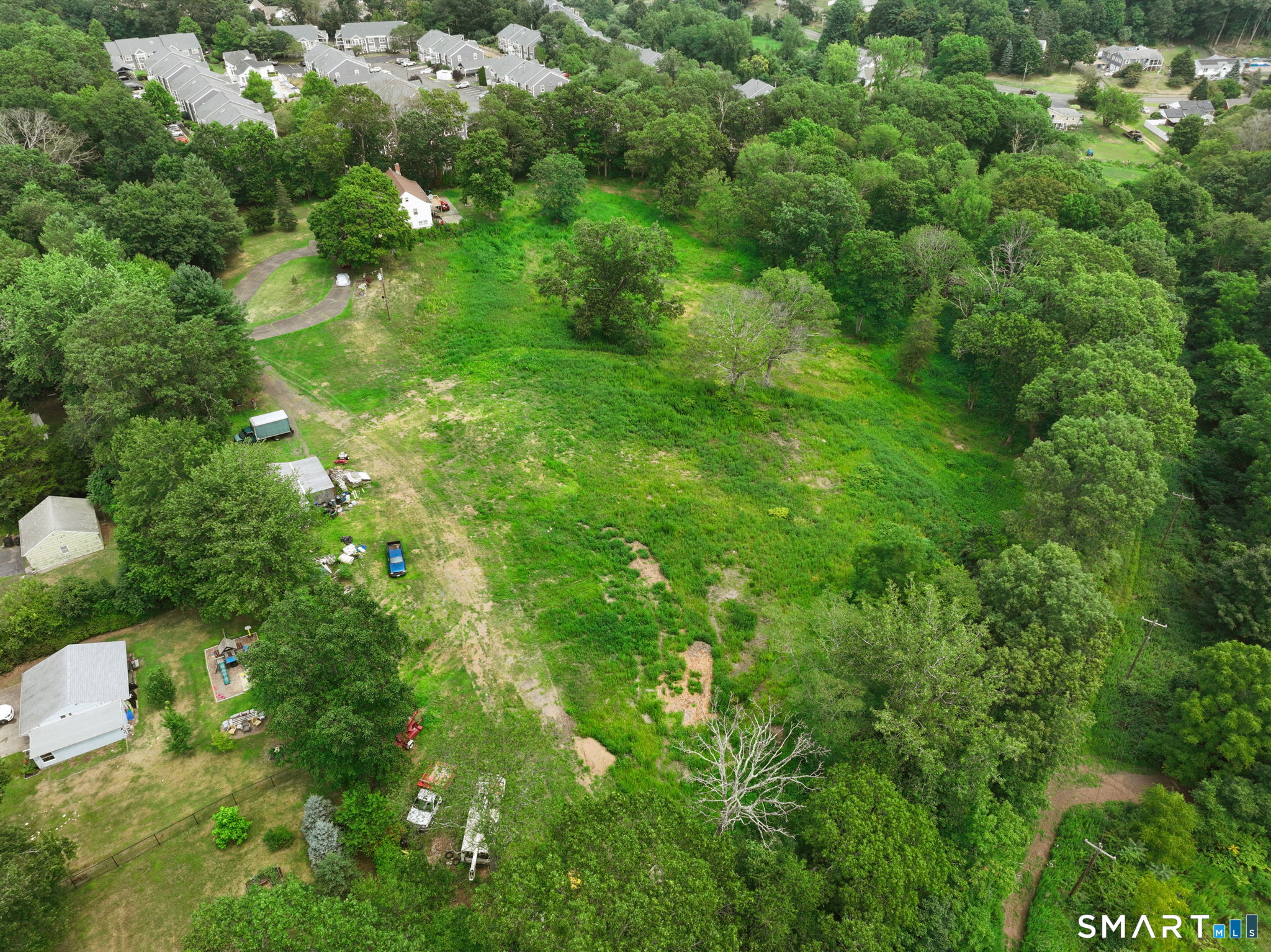 421 Strong Street East Haven, CT 06512 - Photo 2 of 30 a view of a lush green forest
