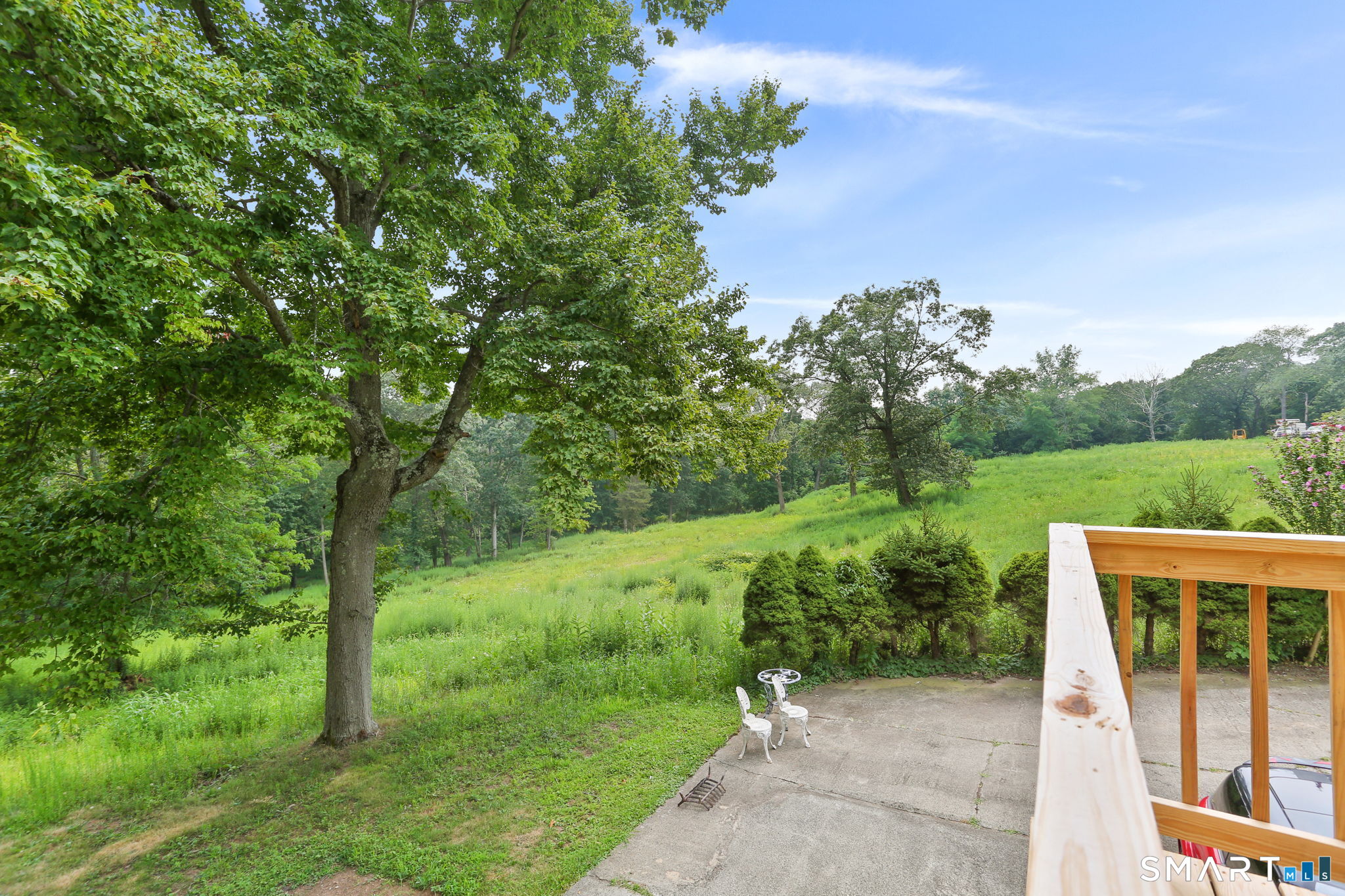 421 Strong Street East Haven, CT 06512 - Photo 27 of 30 a view of a backyard with mountain view and a garden