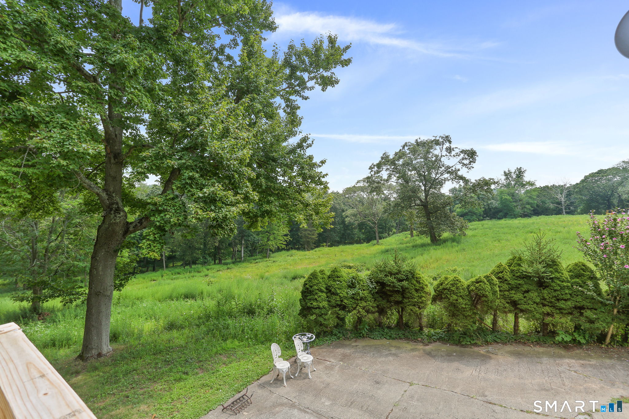 421 Strong Street East Haven, CT 06512 - Photo 28 of 30 a view of a lush green outdoor space with a lake view
