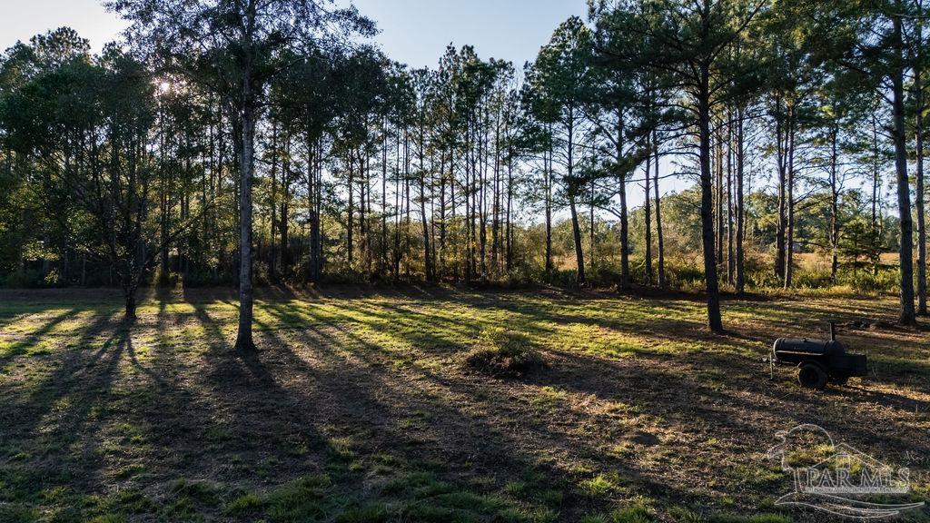 4875 Greenwood Road Jay, FL 32565 - Photo 13 of 28 a view of backyard