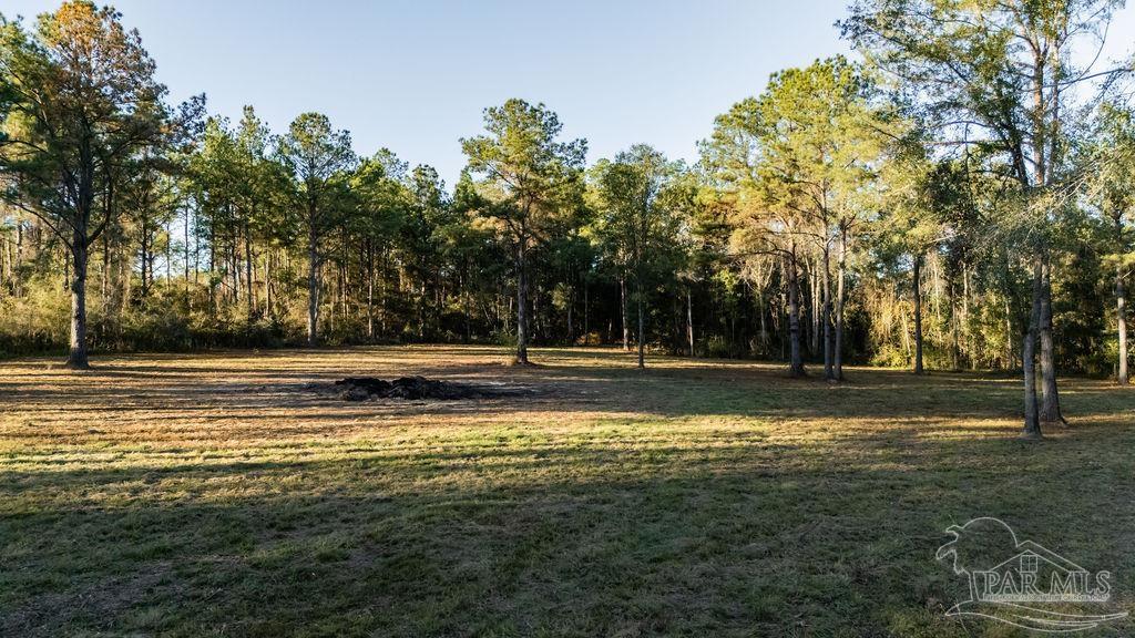 4875 Greenwood Road Jay, FL 32565 - Photo 14 of 28 a view of a yard with a large trees
